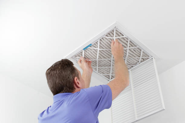 Best Air Duct Mold Removal  in River Heights, UT